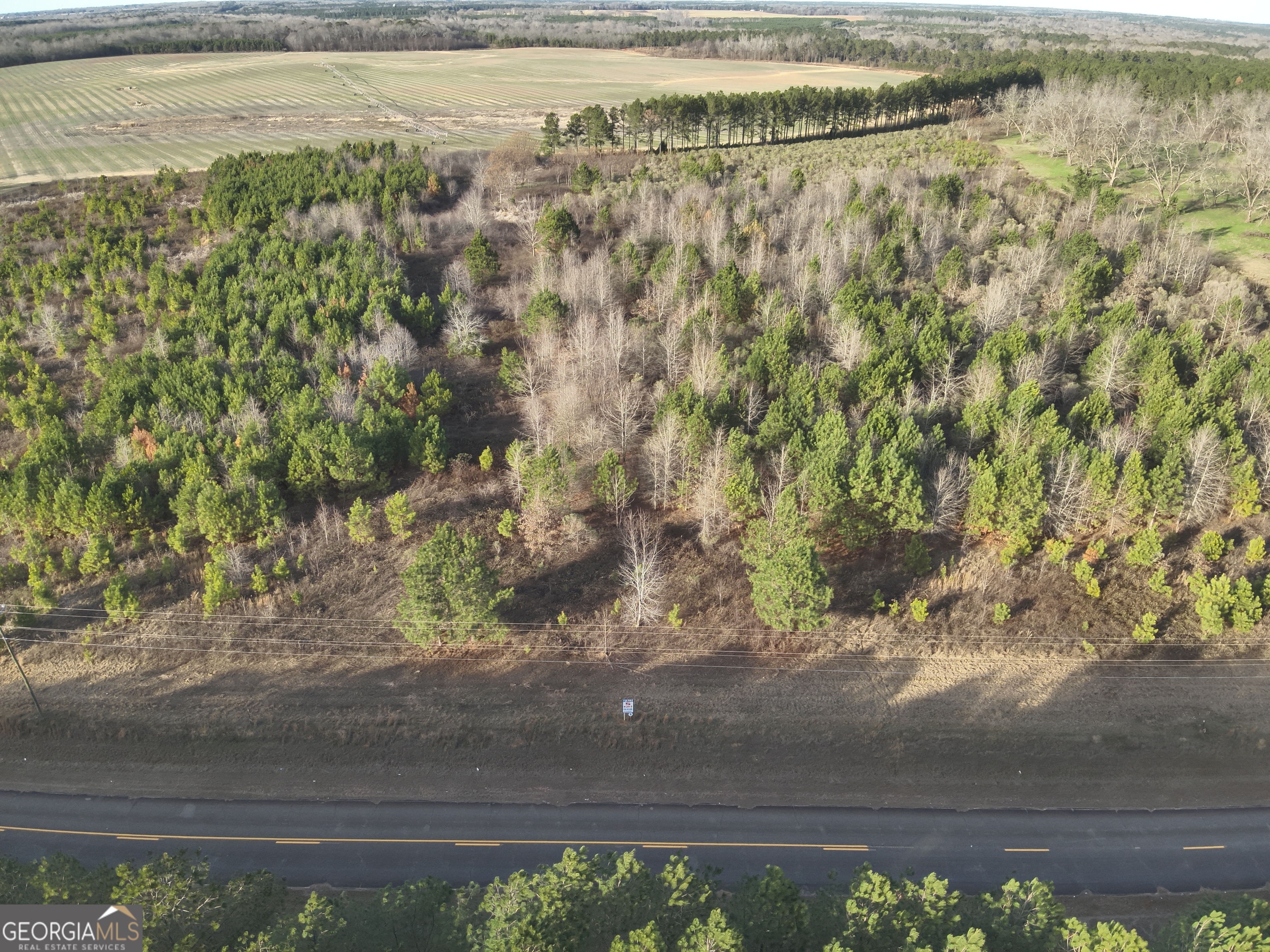 7 North County Line Road Elko, GA 31025 - Photo 3 of 4 a view of a yard