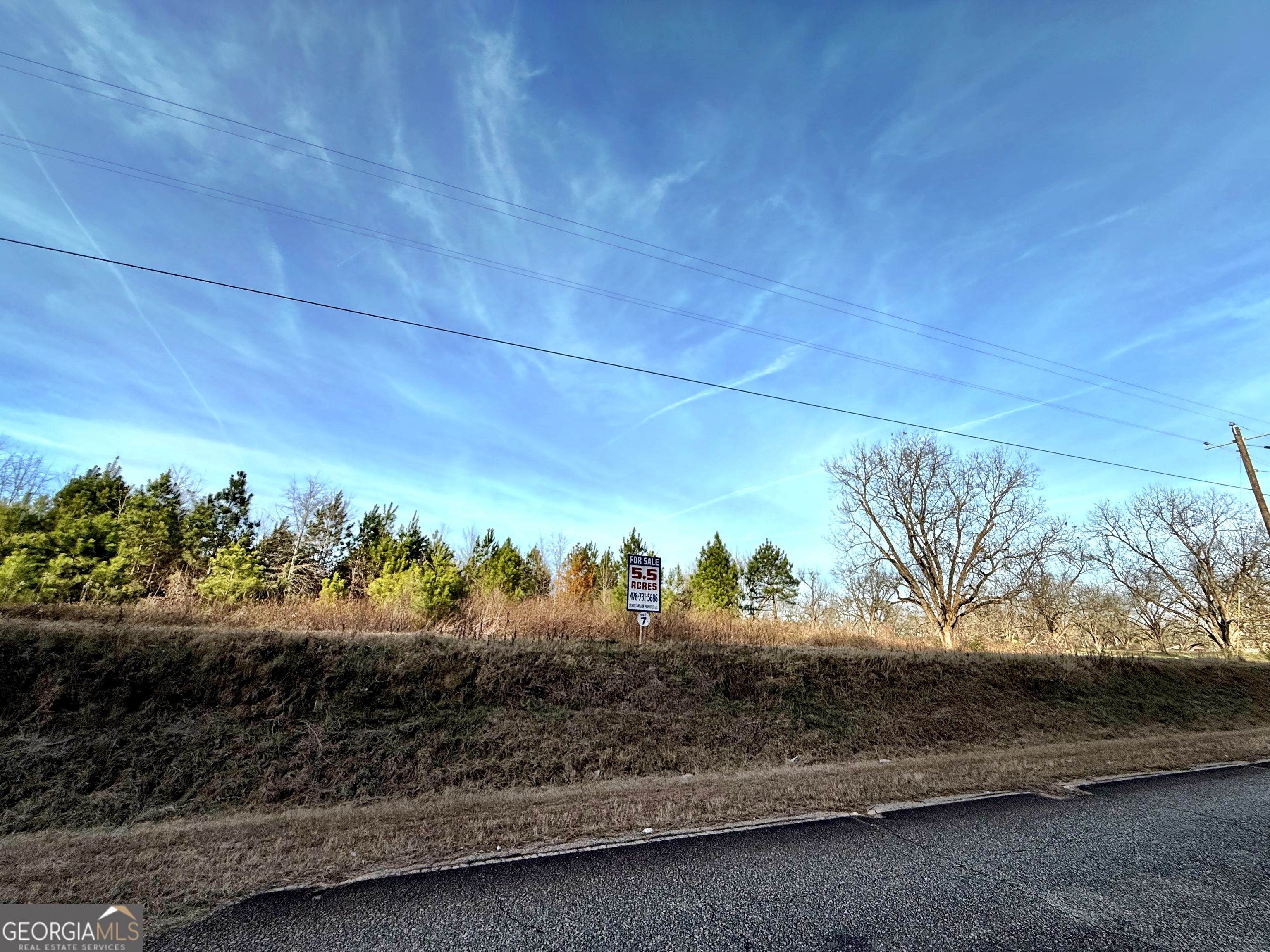 7 North County Line Road Elko, GA 31025 - Photo 4 of 4 a view of a yard in front of a house