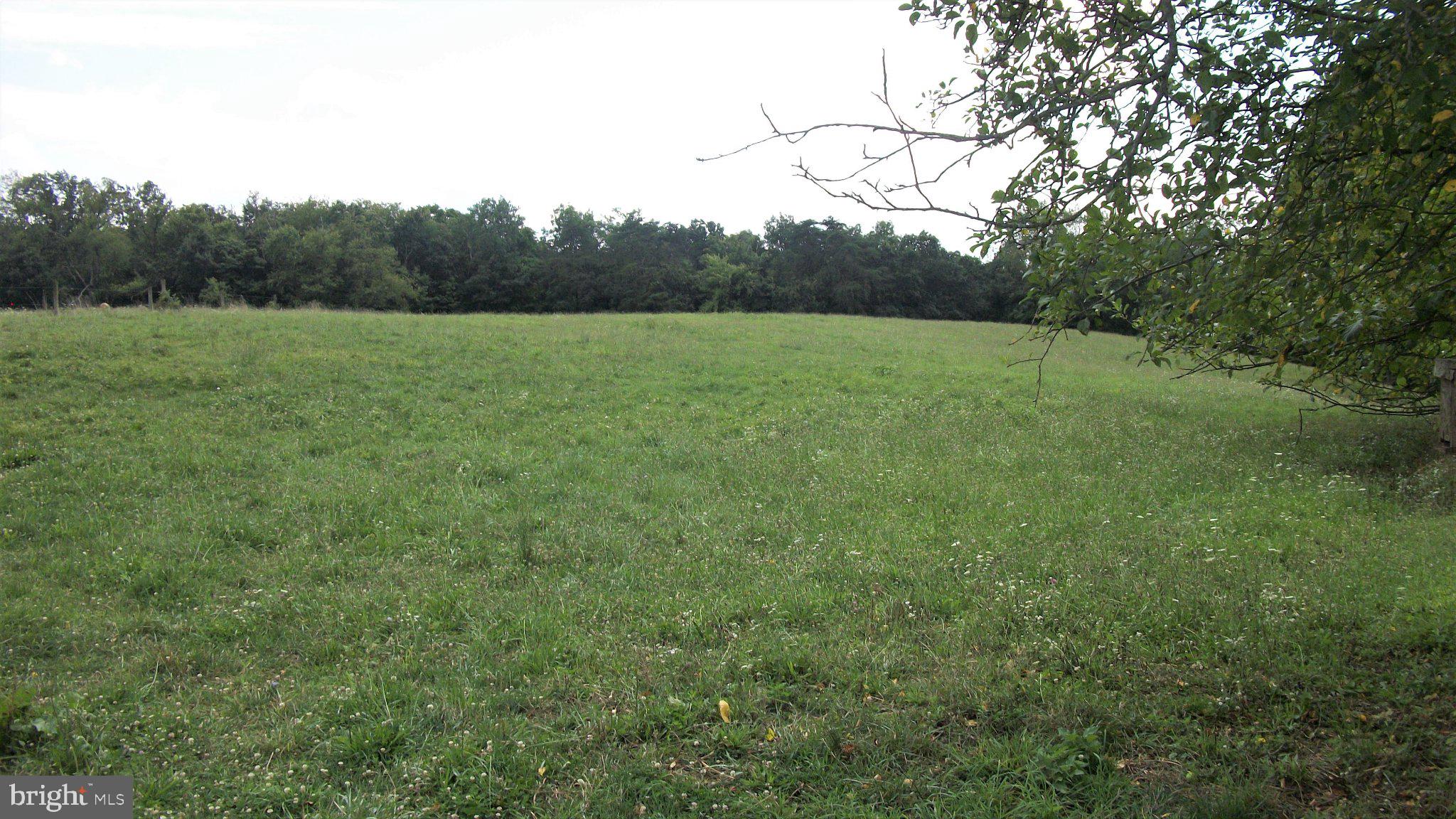 285 Hominy Hill Road Osterburg, PA 16667 - Photo 52 of 62 Gallery Image 52