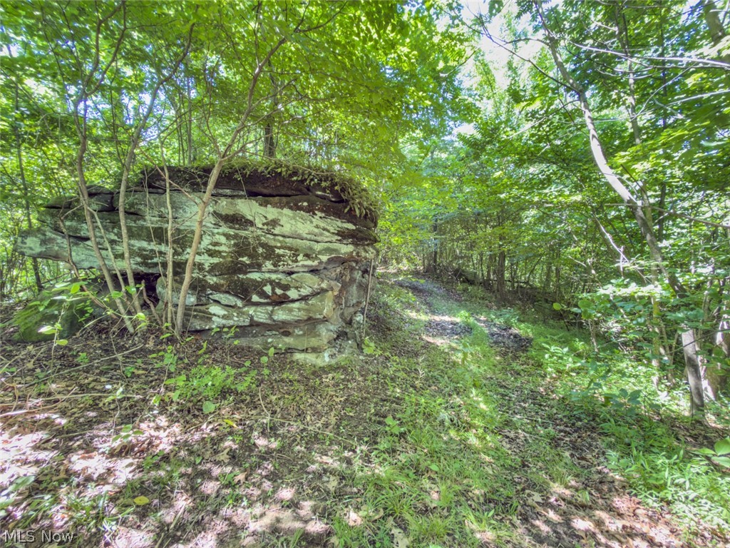 6985 Brush Run Road Cambridge, OH 43725 - Photo 37 of 50
