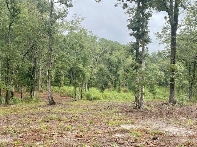 Tbd Redds Branch Road Aiken, SC 29801 - Photo 13 of 23