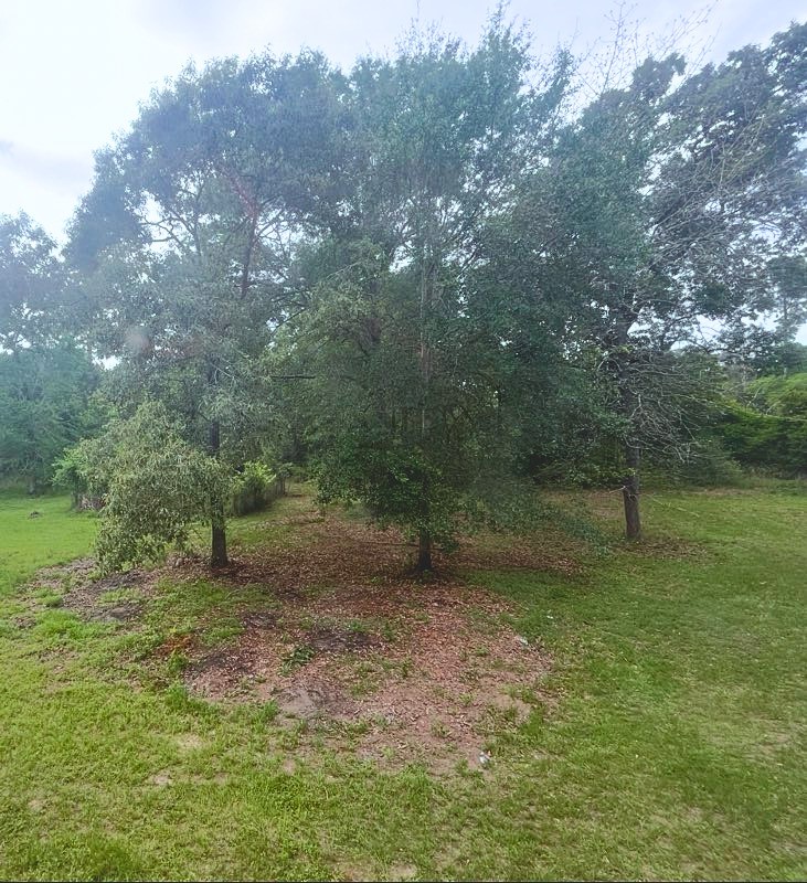 571 Pelican Street Magnolia, TX 77355 - Photo 21 of 22