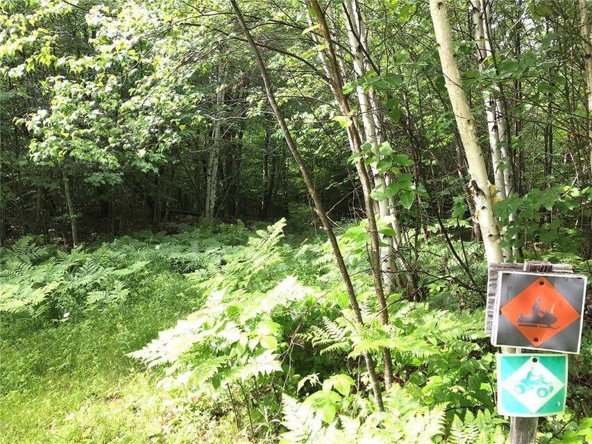 Tbd O'Dell Road Industry, ME 04938 - Photo 10 of 11 20180821041427588791000000-o