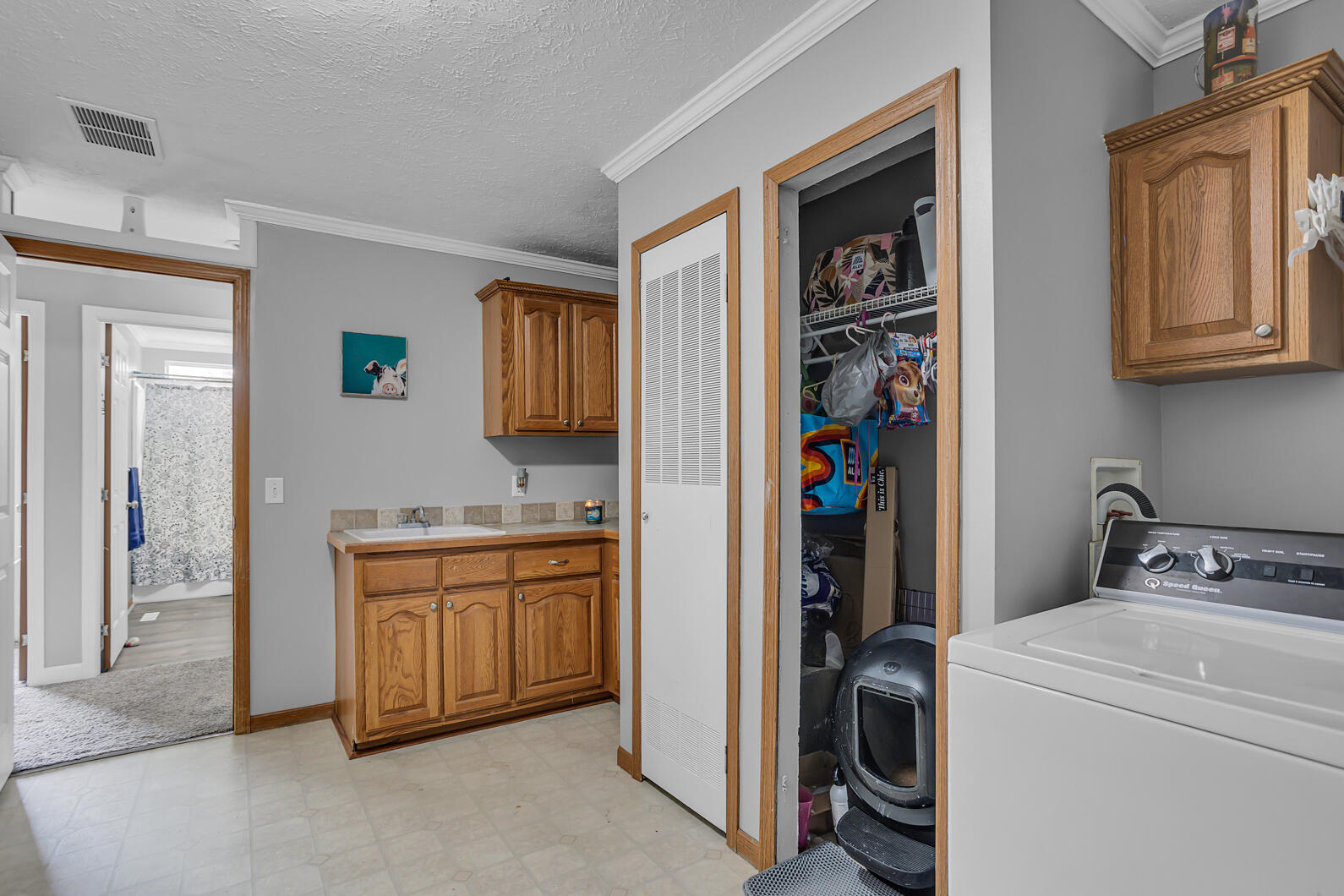 8025 Folks Road Hanover, MI 49241 - Photo 20 of 52 0N0A4935