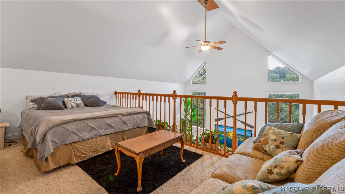 960 Spring Cove Road Sunrise Beach, MO 65079 - Photo 26 of 50