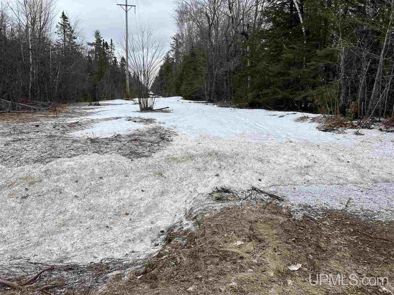 Tbd Tbd H-15 Shingleton, MI 49884 - Photo 18 of 23