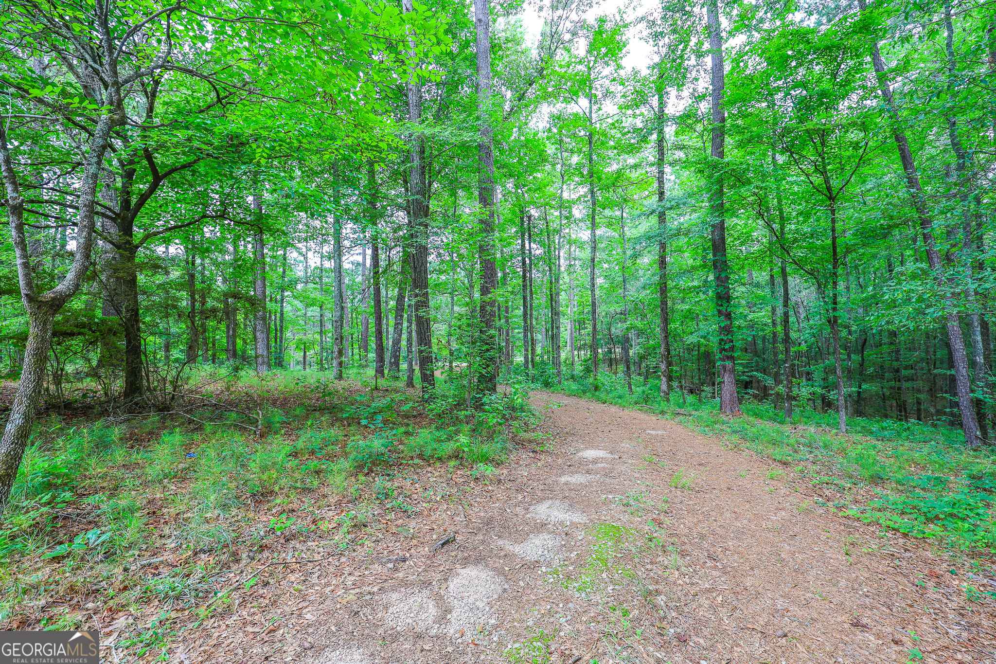 168 Williams Road LaGrange, GA 30240 - Photo 48 of 53