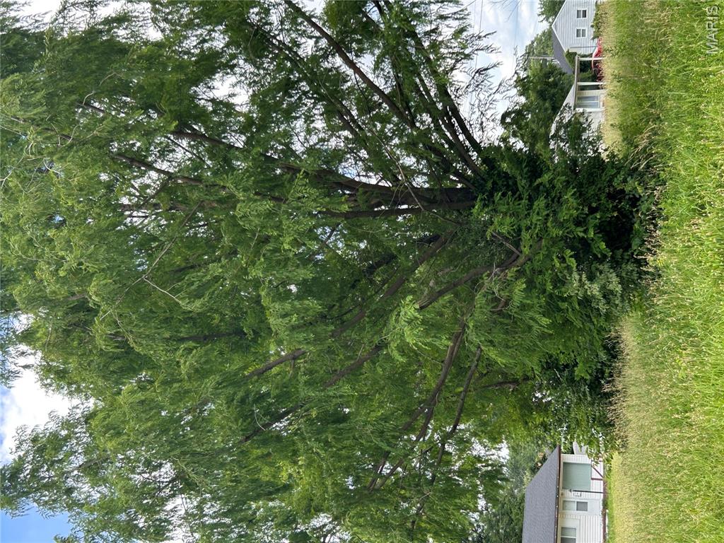 455 Midlothian Road St. Louis, MO 63137 - Photo 3 of 6