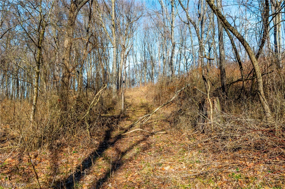 2535 Millersburg Road Wooster, OH 44691 - Photo 27 of 46 View of undeveloped land