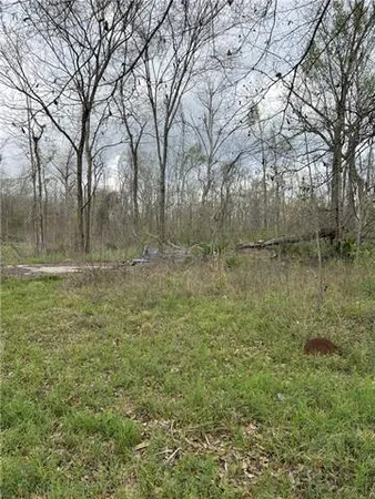 $69,000 | 1037 Highway 457, Lecompte, LA 71346