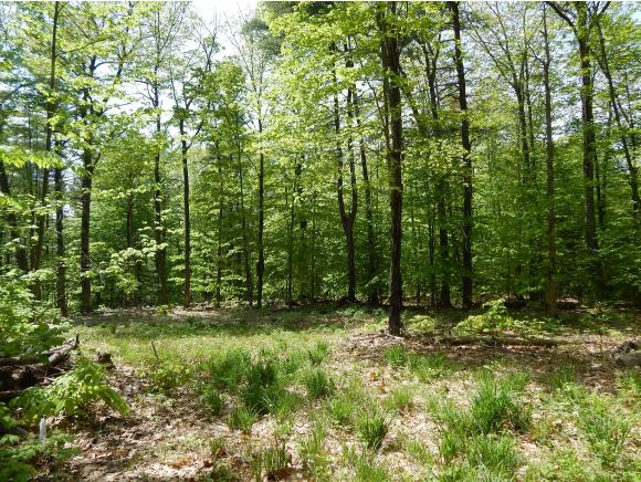 0 Lombard Hill Road Parsonsfield, ME 04047 - Photo 1 of 6