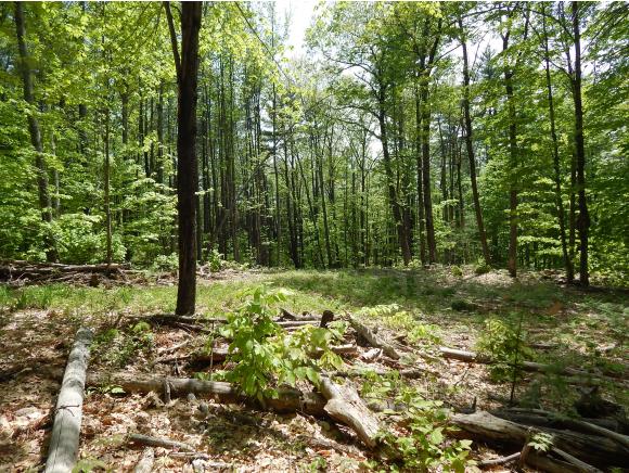 0 Lombard Hill Road Parsonsfield, ME 04047 - Photo 2 of 6