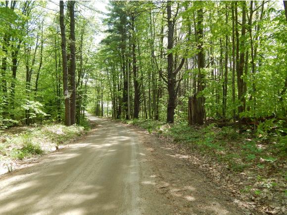 0 Lombard Hill Road Parsonsfield, ME 04047 - Photo 3 of 6