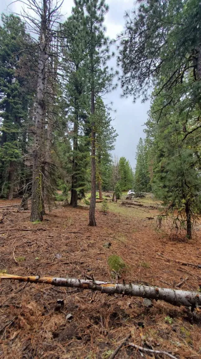 0 Range Alturas, CA 96101 - Photo 28 of 39 Gallery Image 28