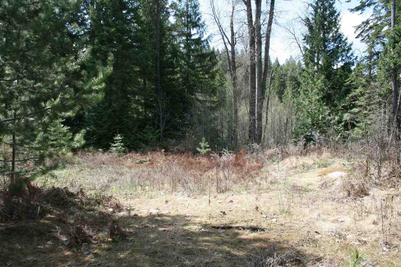 0 Granite Road Newport, WA 99156 - Photo 2 of 20