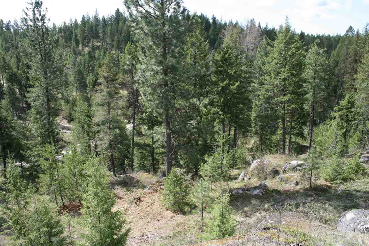 0 Granite Road Newport, WA 99156 - Photo 12 of 20