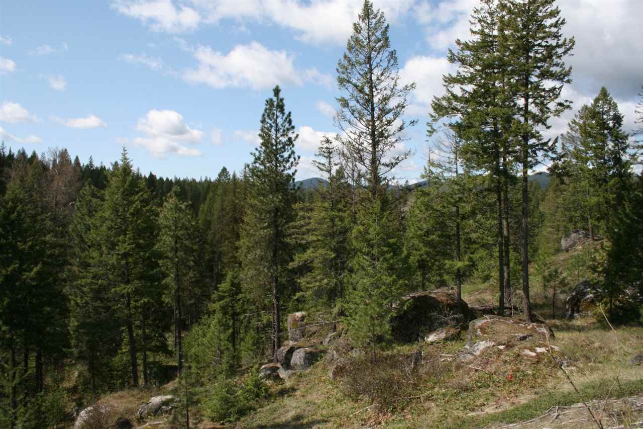0 Granite Road Newport, WA 99156 - Photo 13 of 20