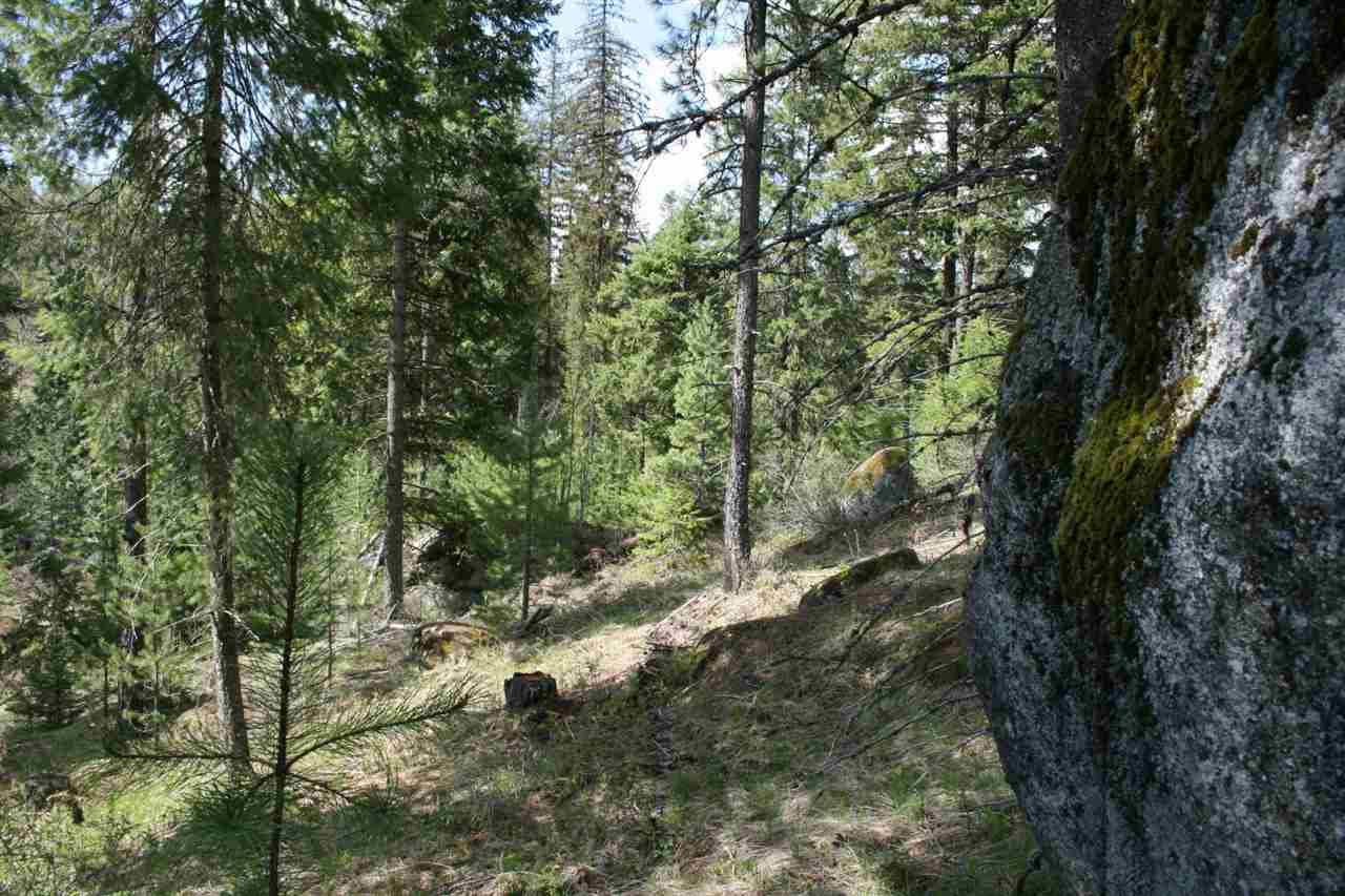 0 Granite Road Newport, WA 99156 - Photo 14 of 20