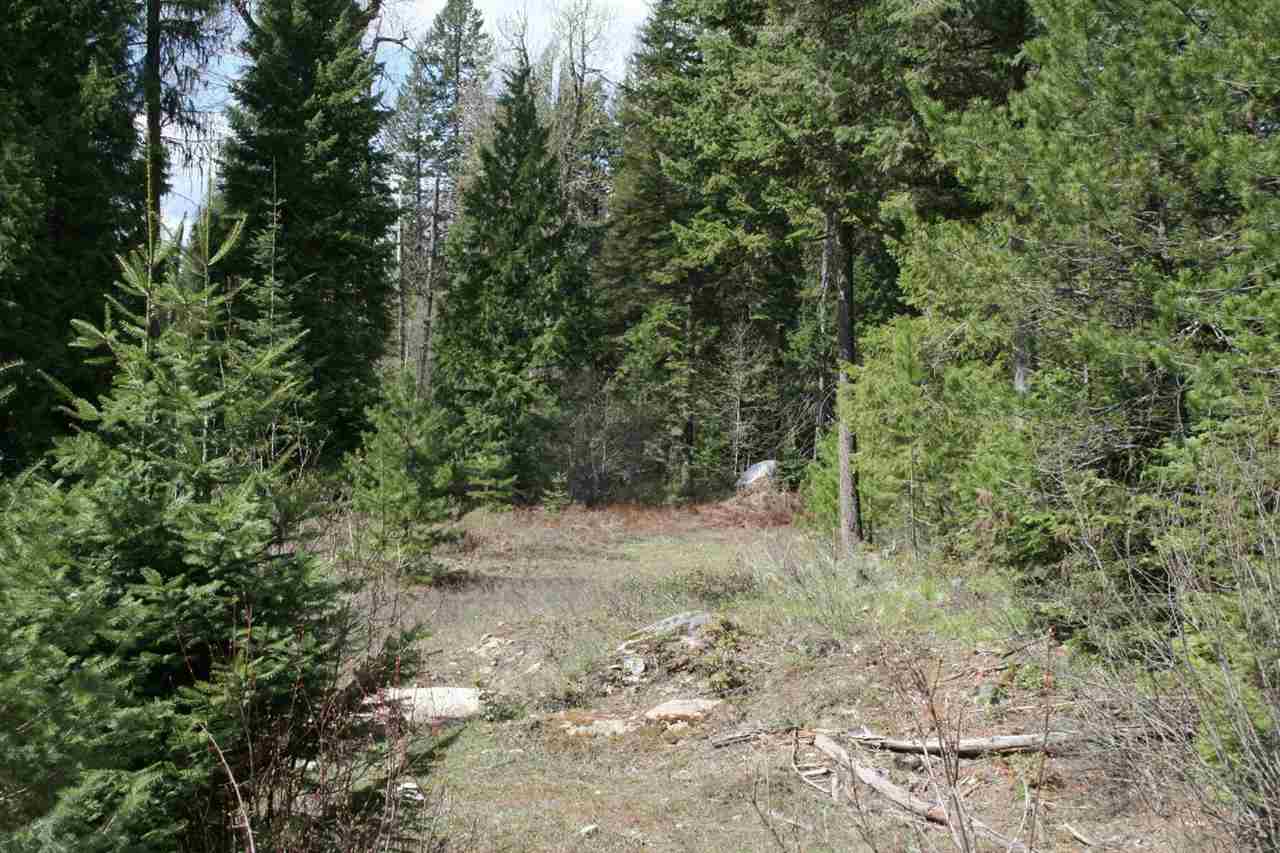 0 Granite Road Newport, WA 99156 - Photo 3 of 20
