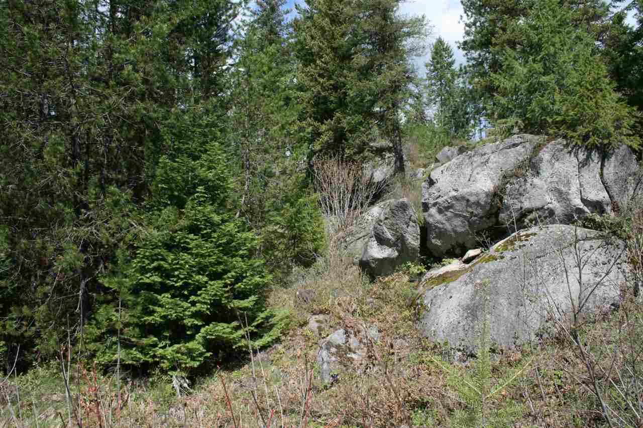 0 Granite Road Newport, WA 99156 - Photo 4 of 20