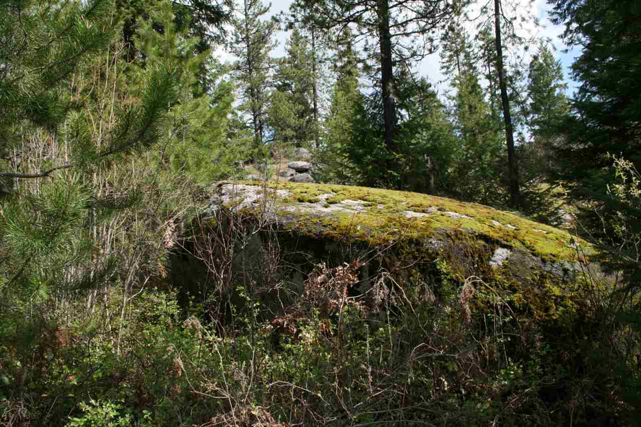 0 Granite Road Newport, WA 99156 - Photo 5 of 20