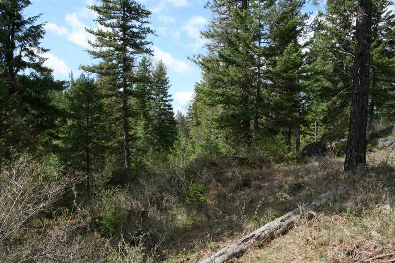 0 Granite Road Newport, WA 99156 - Photo 6 of 20