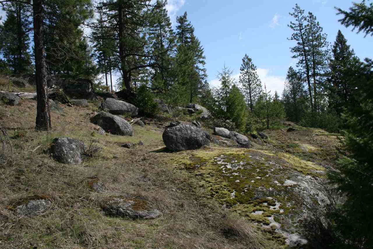 0 Granite Road Newport, WA 99156 - Photo 9 of 20