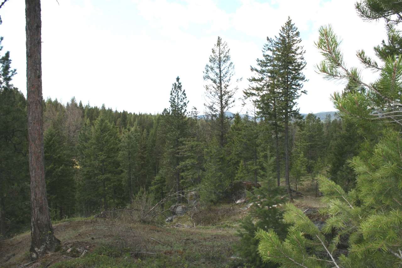0 Granite Road Newport, WA 99156 - Photo 10 of 20