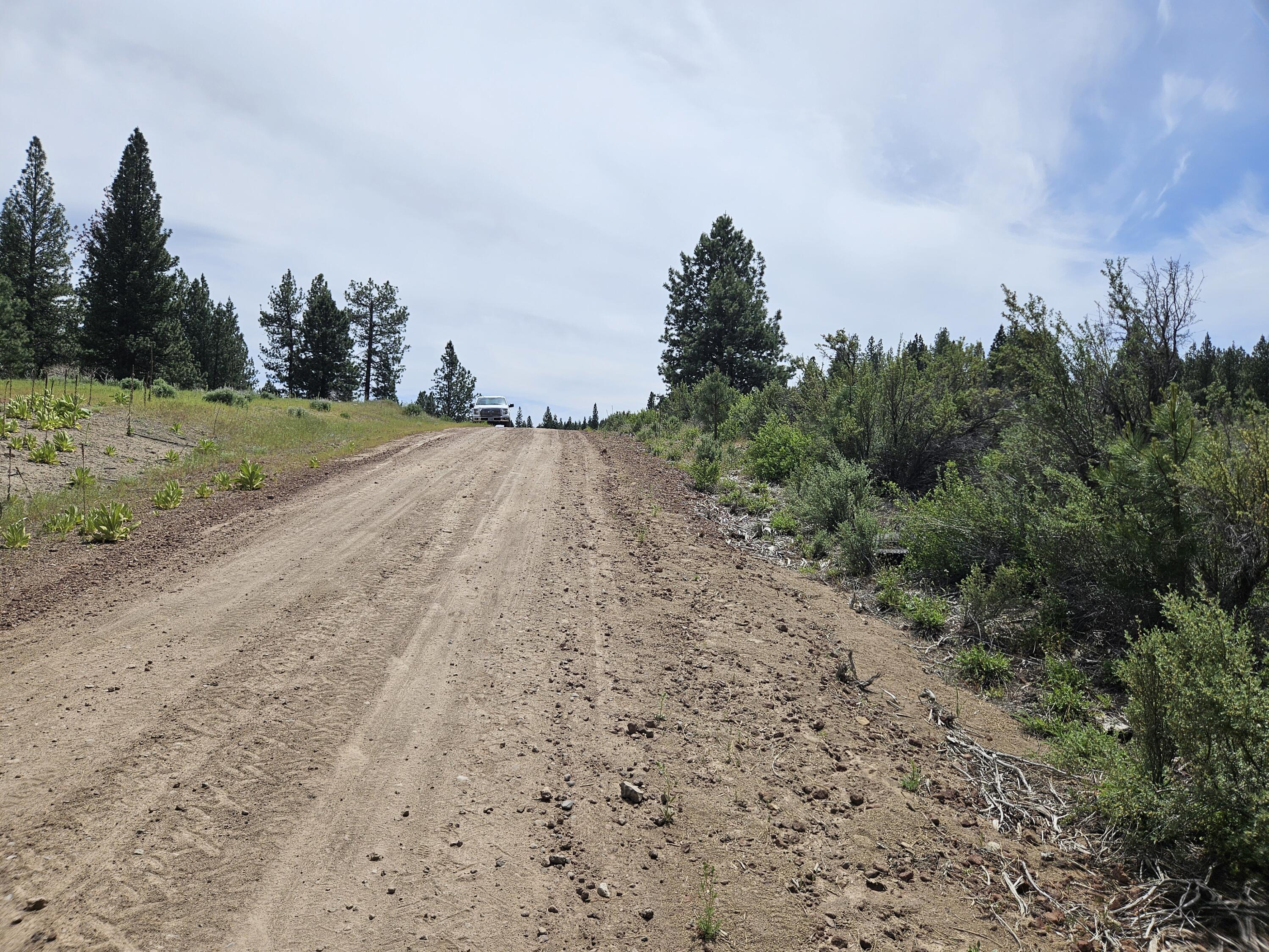 0 Pine Ridge Loop, Unit LOT 7 Chiloquin, OR 97624 - Photo 5 of 5 a view of a dirt road with trees in the background