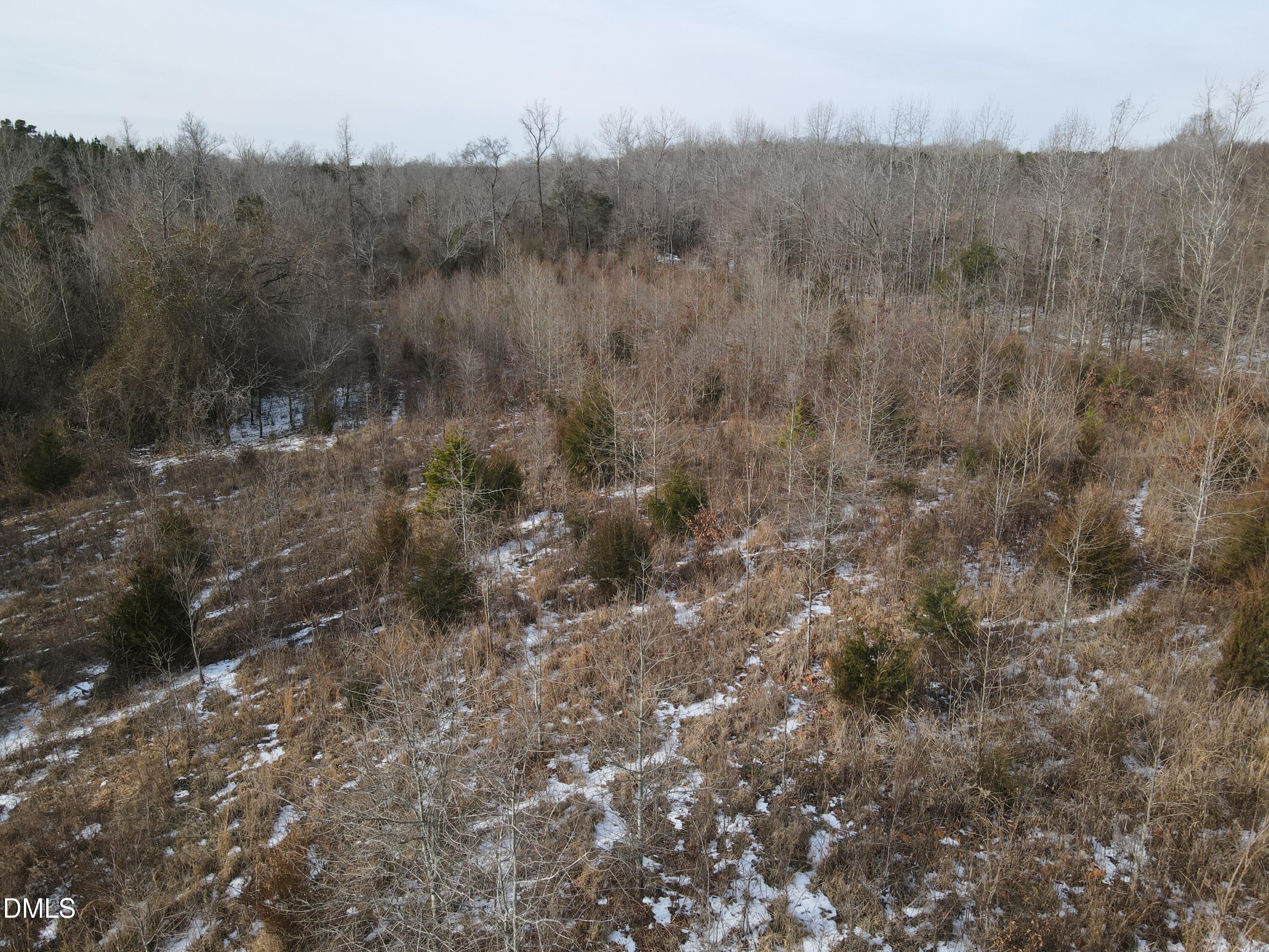 0 Oakley Road Cedar Grove, NC 27231 - Photo 20 of 31 DJI_0677