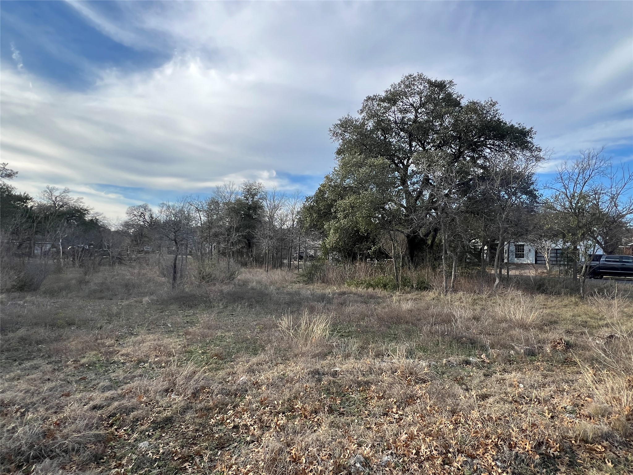 5609 Kayview Drive Austin, TX 78749 - Photo 9 of 9 a view of a dry yard with trees