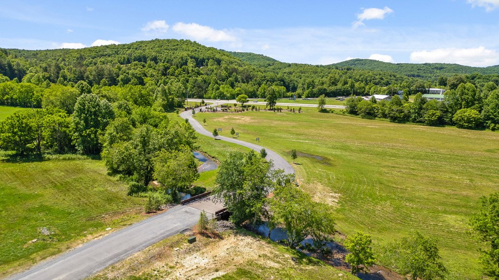 Lot 1 Ridge Drive Morganton, GA 30560 - Photo 6 of 21