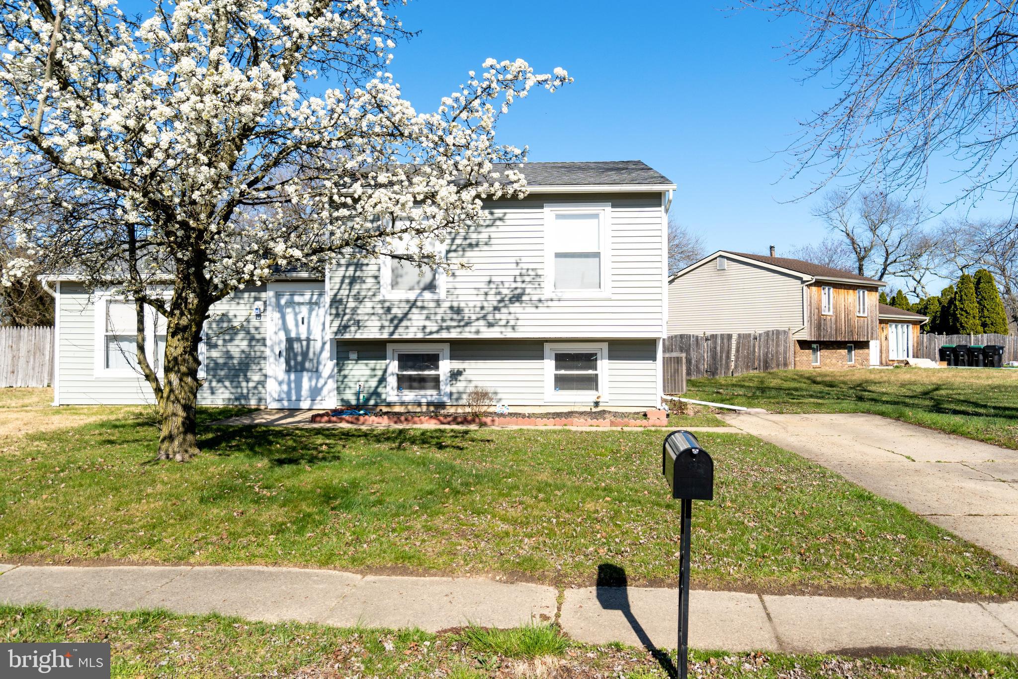 27 Jackson Lane Sicklerville, NJ 08081 - Photo 8 of 22 Edible pear tree