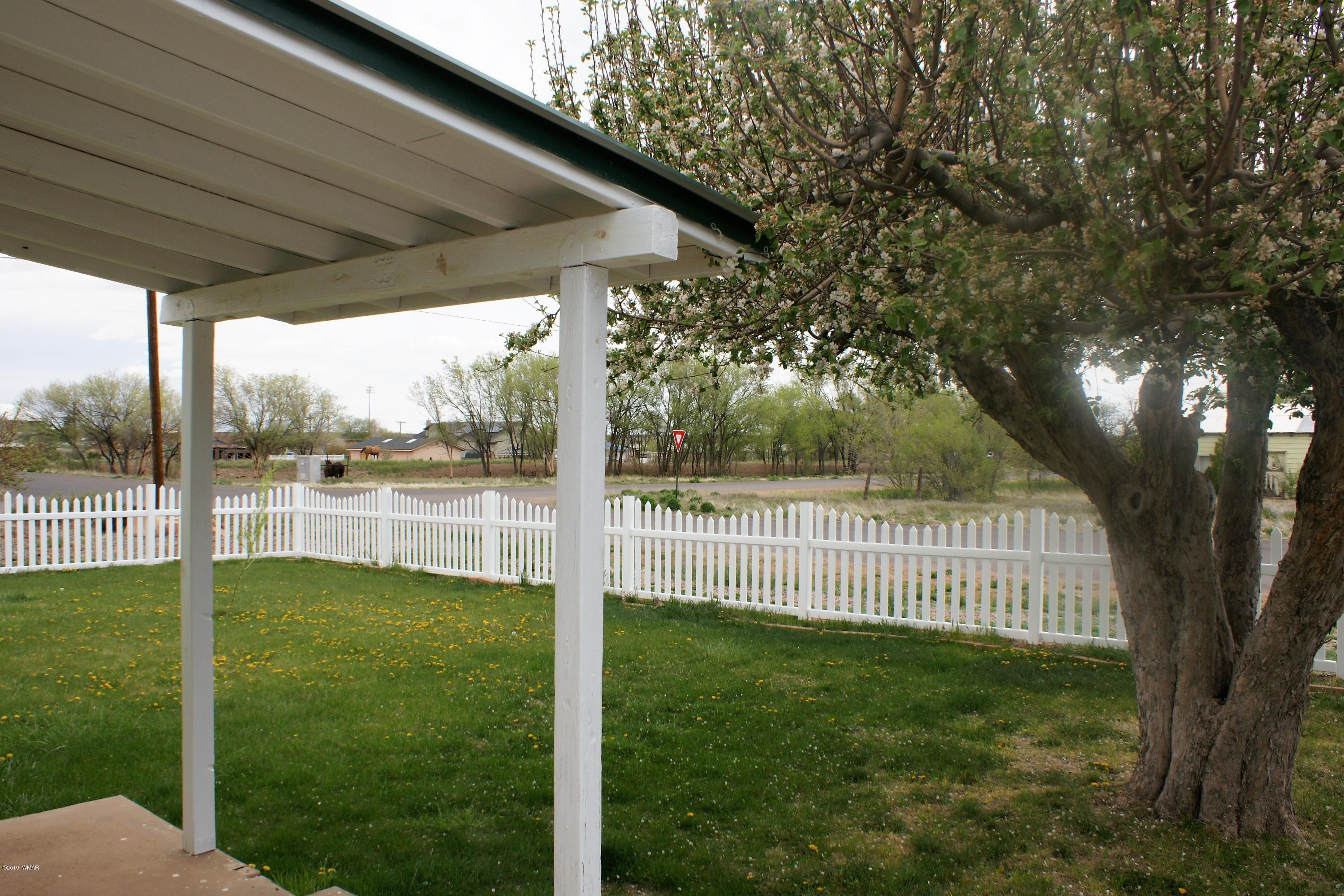 321 South 5th W Street Snowflake, AZ 85937 - Photo 25 of 32 a view of outdoor space