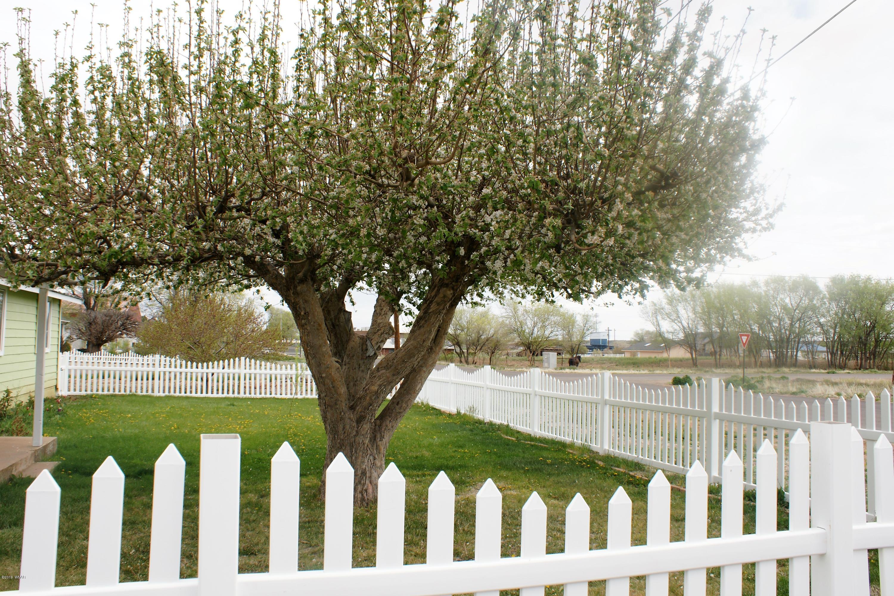 321 South 5th W Street Snowflake, AZ 85937 - Photo 27 of 32 a view of a wooden fence