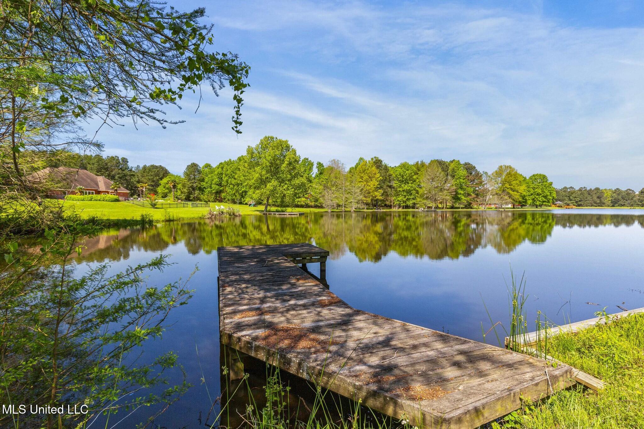 109 Plantation Drive Madison, MS 39110 - Photo 95 of 145 tempImagePI231b