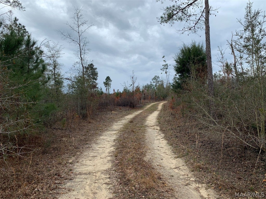 0 Ray Armstrong Road Andalusia, AL 36421 - Photo 15 of 34 Gallery Image 15