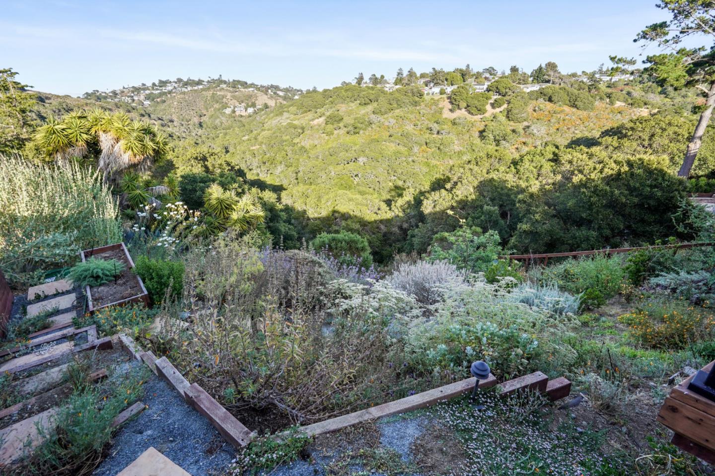 1914 Bishop Road Belmont, CA 94002 - Photo 57 of 79 a view of a forest with a mountain