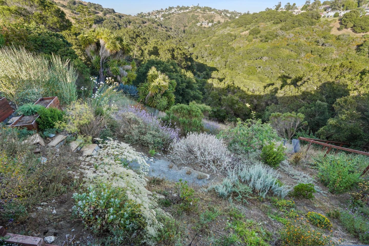 1914 Bishop Road Belmont, CA 94002 - Photo 58 of 79