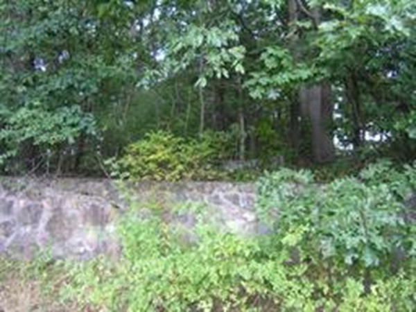 30 Nod Hill Road Newton, MA 02461 - Photo 15 of 20