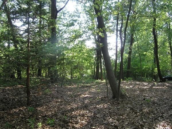 30 Nod Hill Road Newton, MA 02461 - Photo 16 of 20