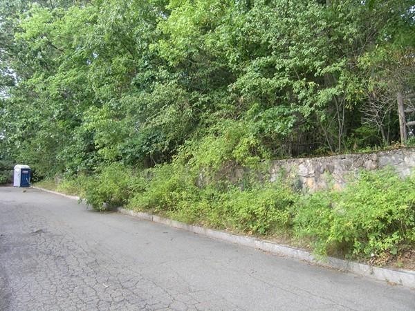 30 Nod Hill Road Newton, MA 02461 - Photo 18 of 20