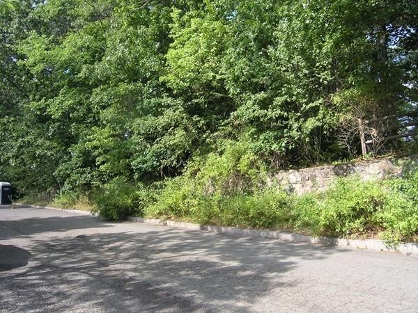 30 Nod Hill Road Newton, MA 02461 - Photo 19 of 20