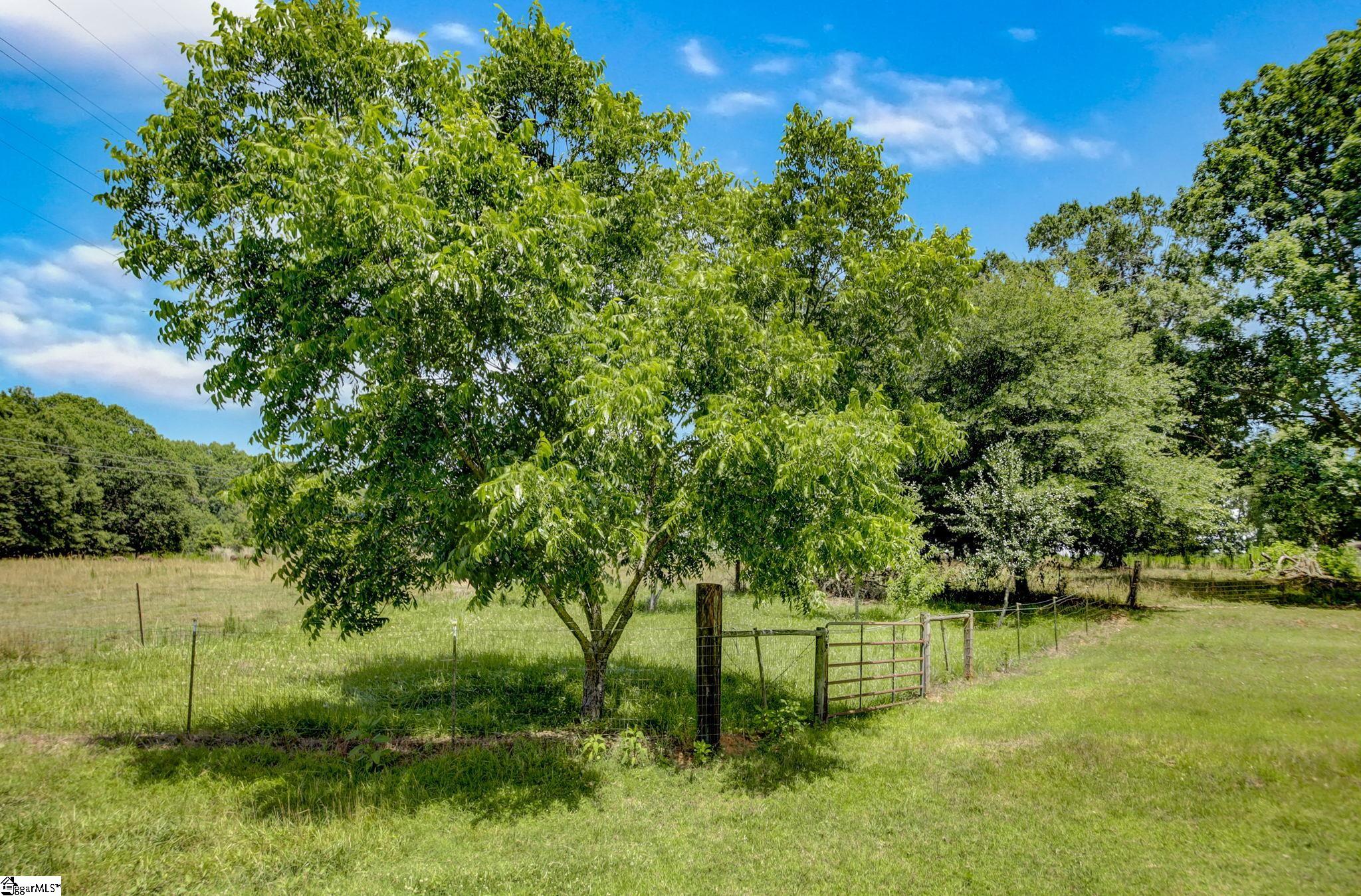 434 Boiter Road Williamston, SC 29697 - Photo 36 of 36