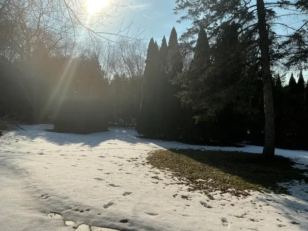 $574,900 | 37671 Fiore Trail, Clinton Township, MI 48036
