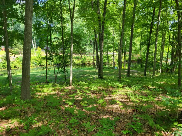 $63,000 | Tbd West School Section Lake Drive, Mecosta, MI 49332