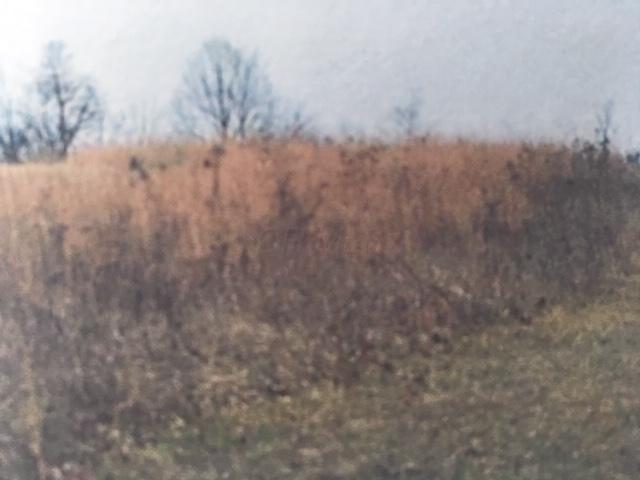 0 McCullough Road Southeast Bremen, OH 43107 - Photo 2 of 6