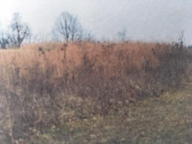0 McCullough Road Southeast Bremen, OH 43107 - Photo 3 of 6