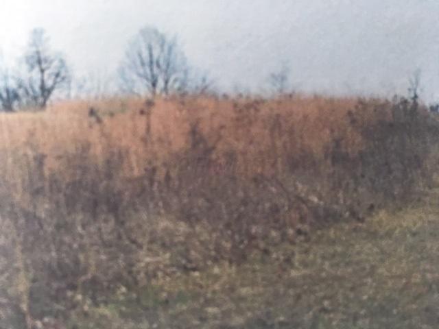 0 McCullough Road Southeast Bremen, OH 43107 - Photo 5 of 6