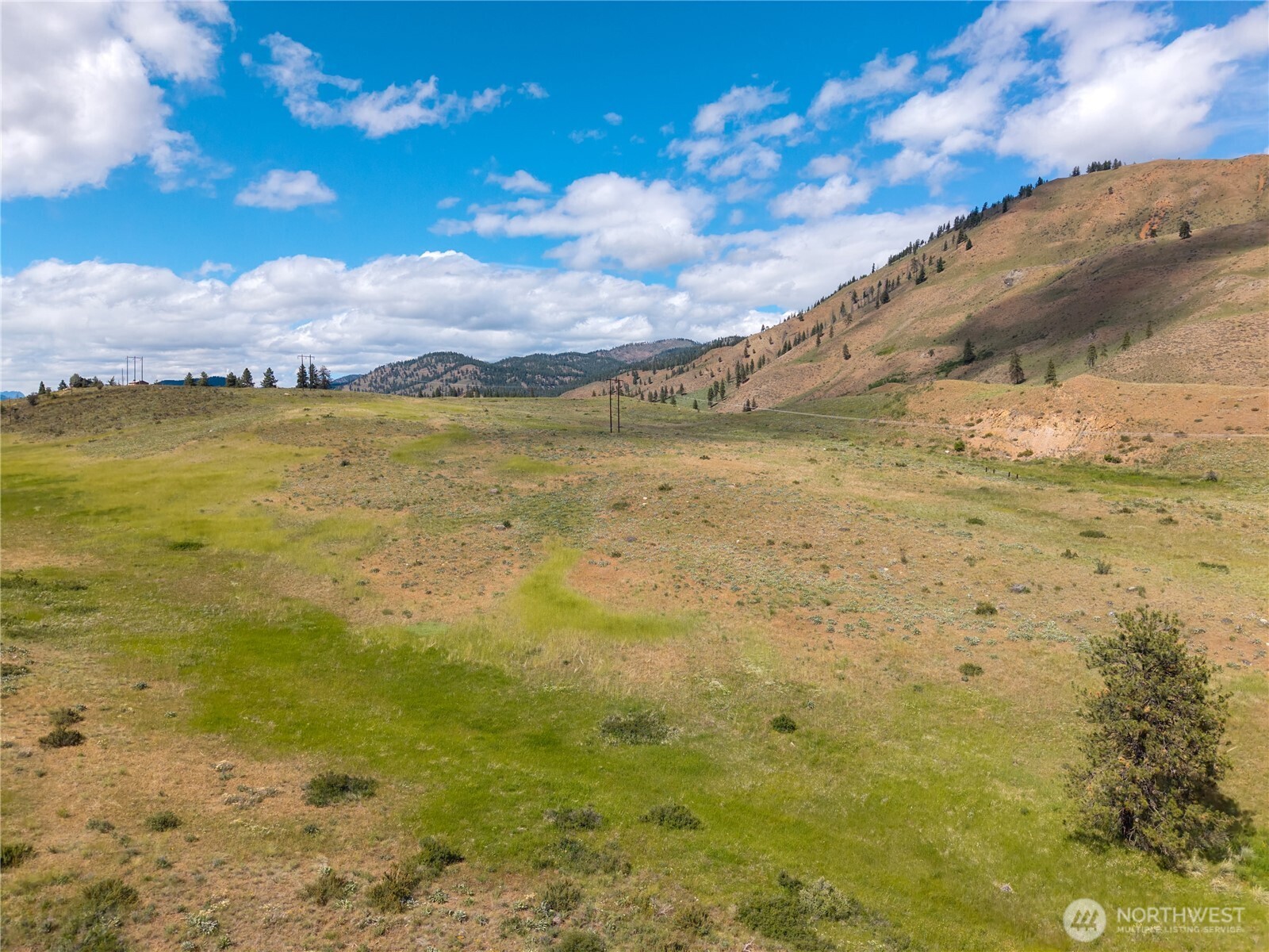 -tbd Bear Creek Road Winthrop, WA 98862 - Photo 21 of 30